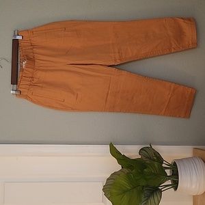 LOFT Women's Mustard Pull-On Waistband Pants Size XS